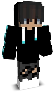 Minecraft person